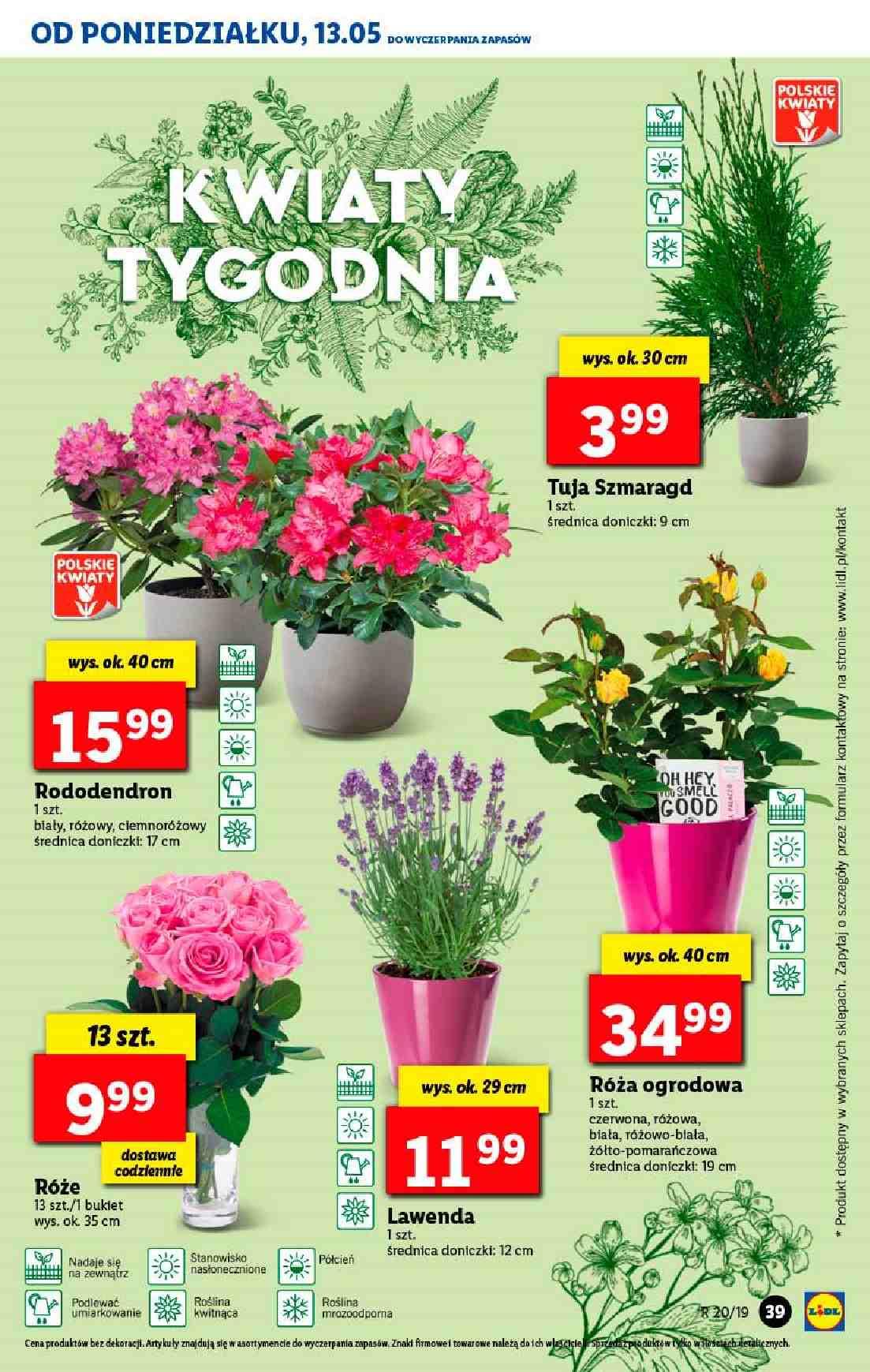 Gazetka promocyjna Lidl do 15/05/2019 str.39