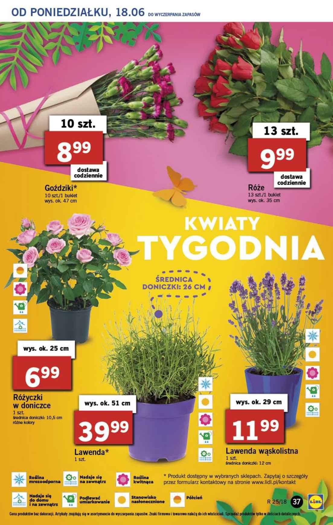 Gazetka promocyjna Lidl do 20/06/2018 str.37