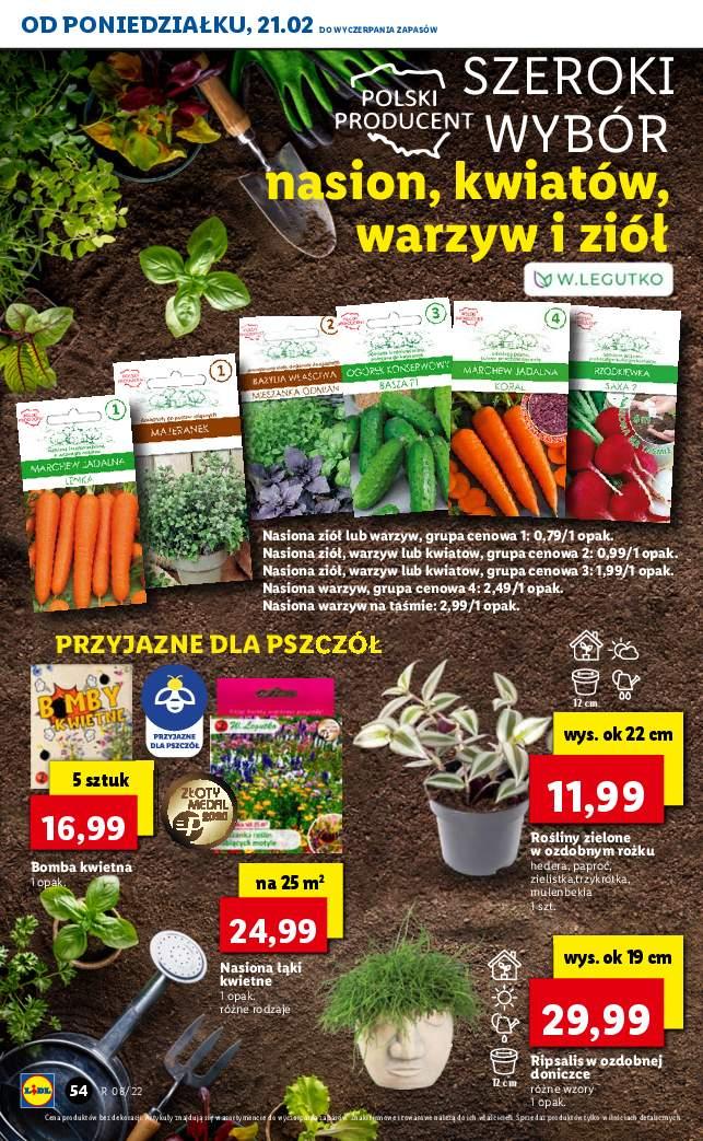 Gazetka promocyjna Lidl do 23/02/2022 str.55