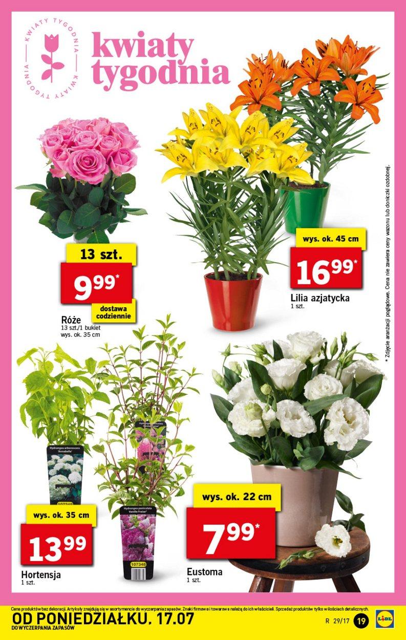 Gazetka promocyjna Lidl do 19/07/2017 str.19