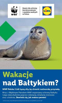 Lidl od czwartku
