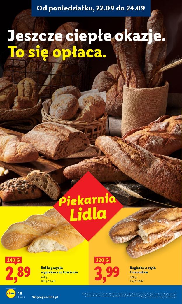 Gazetka promocyjna Lidl do 24/09/2025 str.22