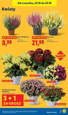 Lidl od czwartku