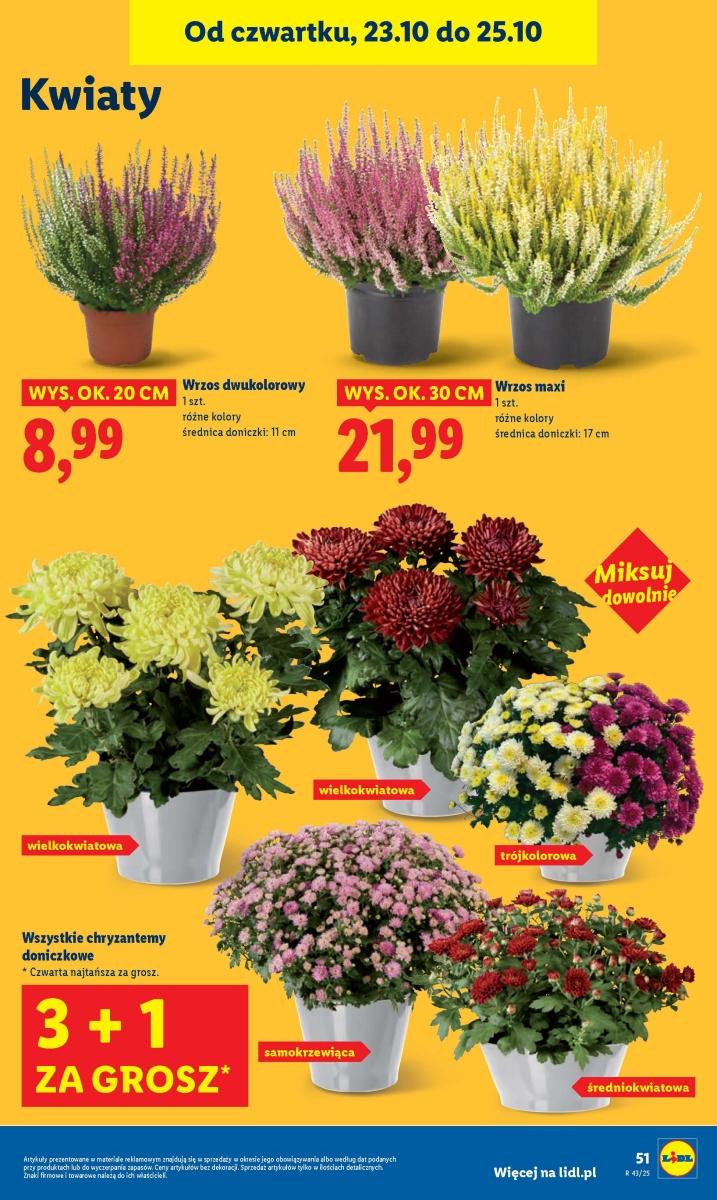 Gazetka promocyjna Lidl do 25/10/2025 str.55
