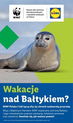 Lidl katalog 7.07