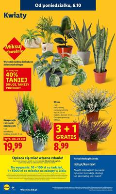 Lidl od poniedziałku