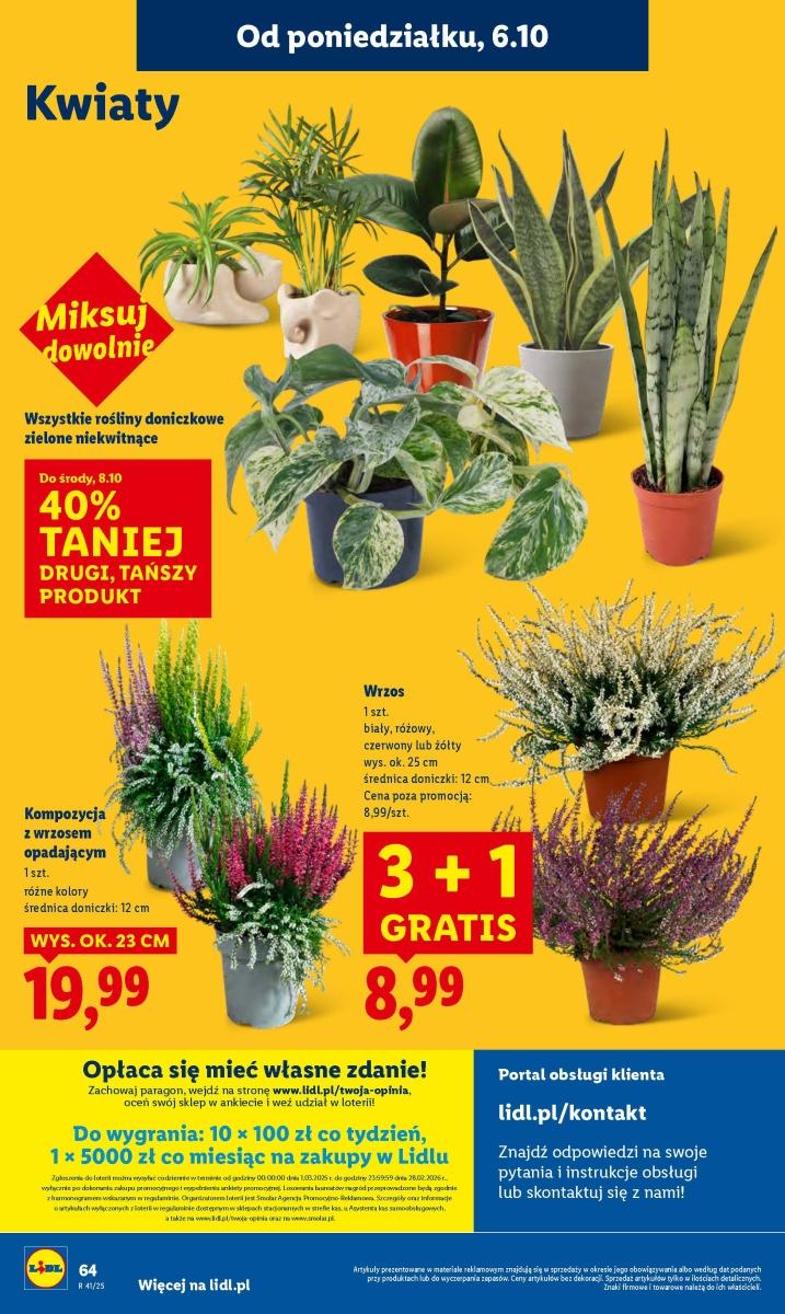 Gazetka promocyjna Lidl do 08/10/2025 str.66