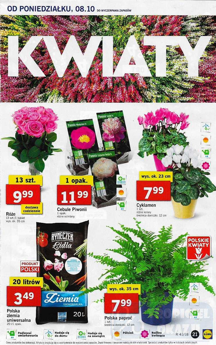 Gazetka promocyjna Lidl do 10/10/2018 str.21