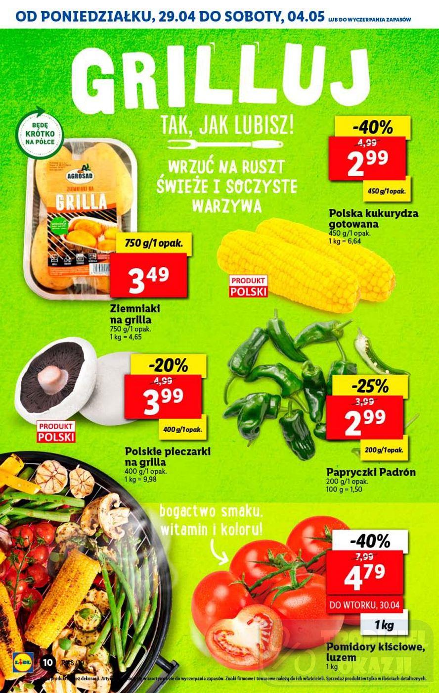 Gazetka promocyjna Lidl do 04/05/2019 str.10