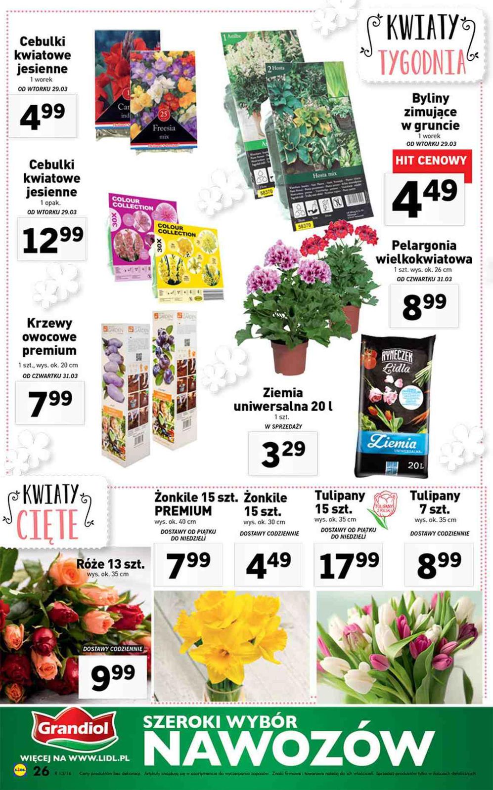 Gazetka promocyjna Lidl do 03/04/2016 str.26