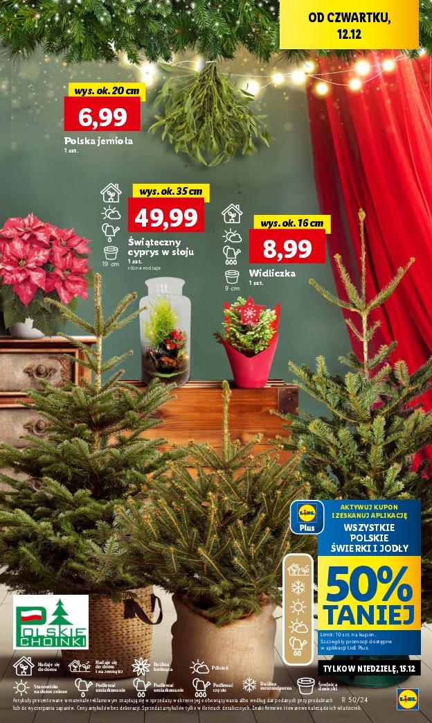 Gazetka promocyjna Lidl do 18/12/2024 str.53