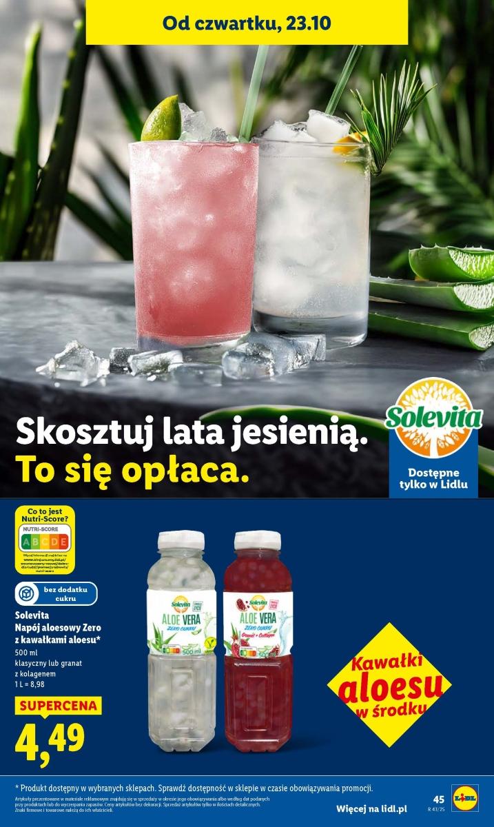 Gazetka promocyjna Lidl do 25/10/2025 str.49