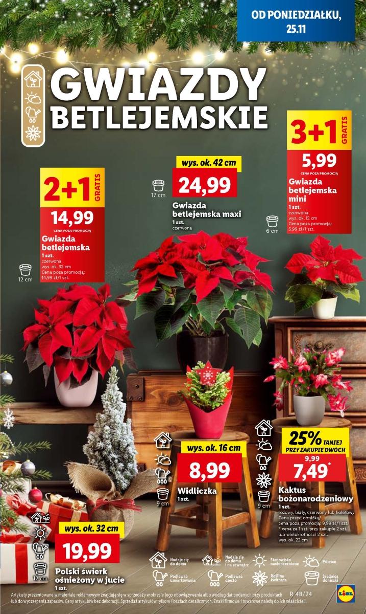 Gazetka promocyjna Lidl do 27/11/2024 str.67