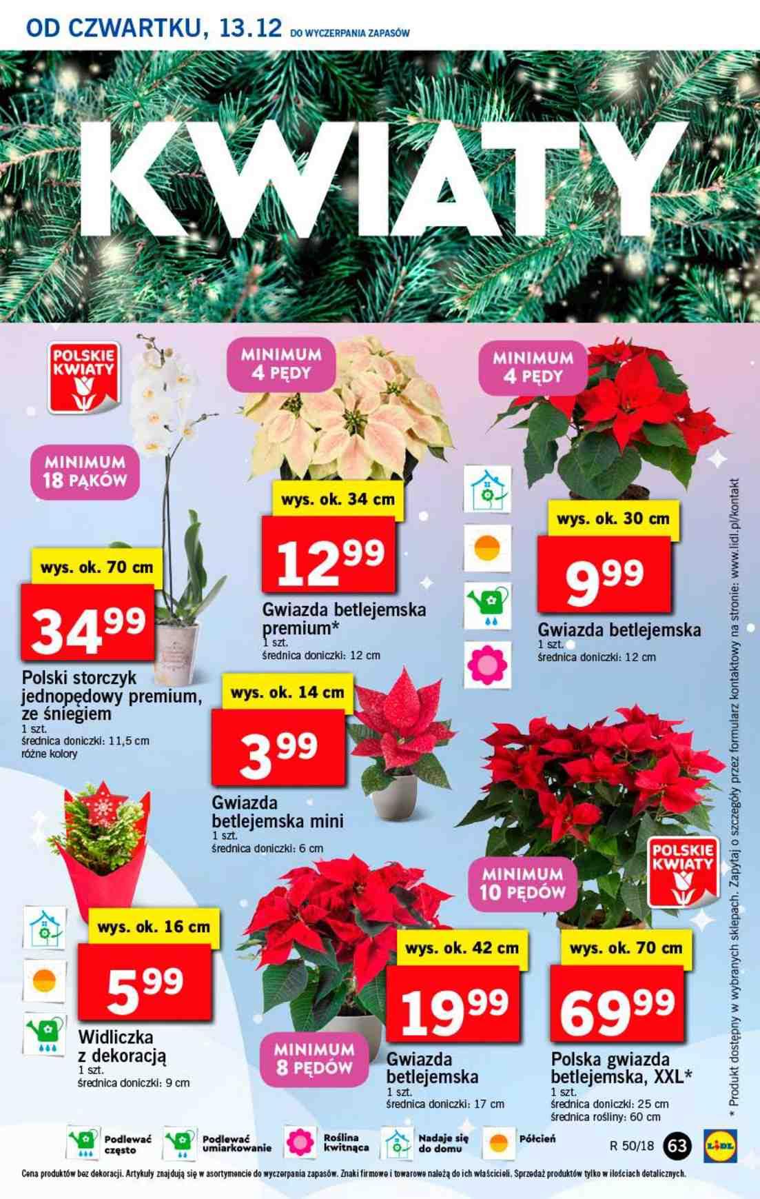 Gazetka promocyjna Lidl do 16/12/2018 str.63