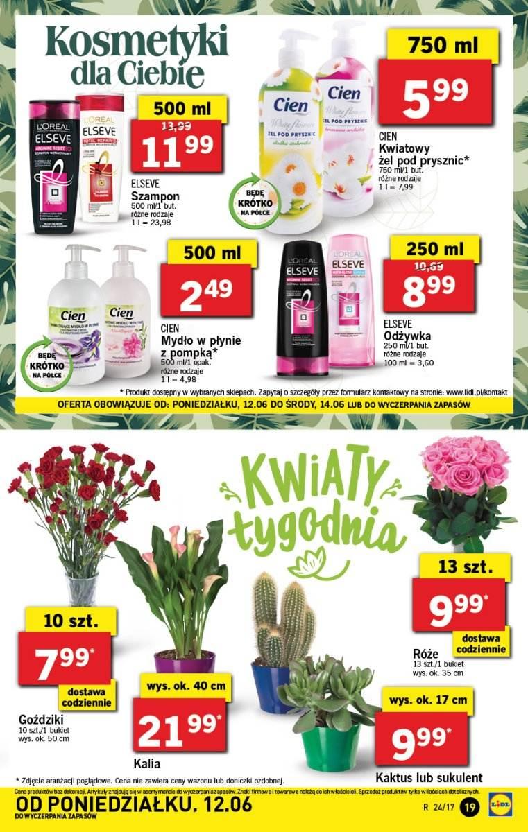 Gazetka promocyjna Lidl do 14/06/2017 str.19