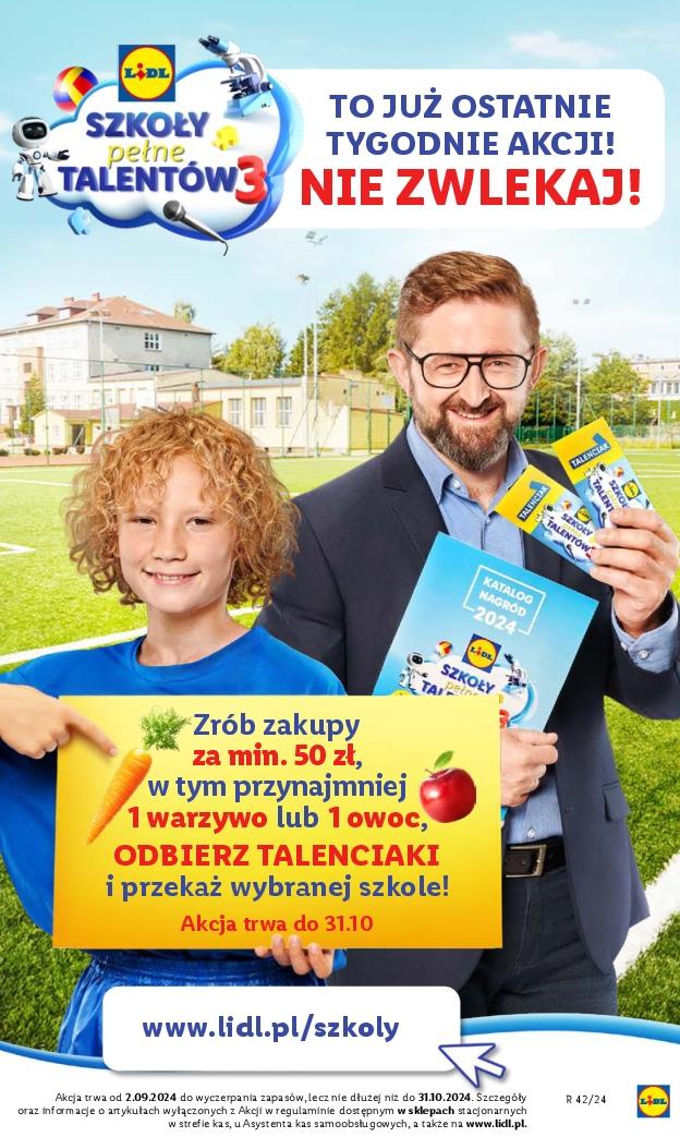 Gazetka promocyjna Lidl do 19/10/2024 str.19