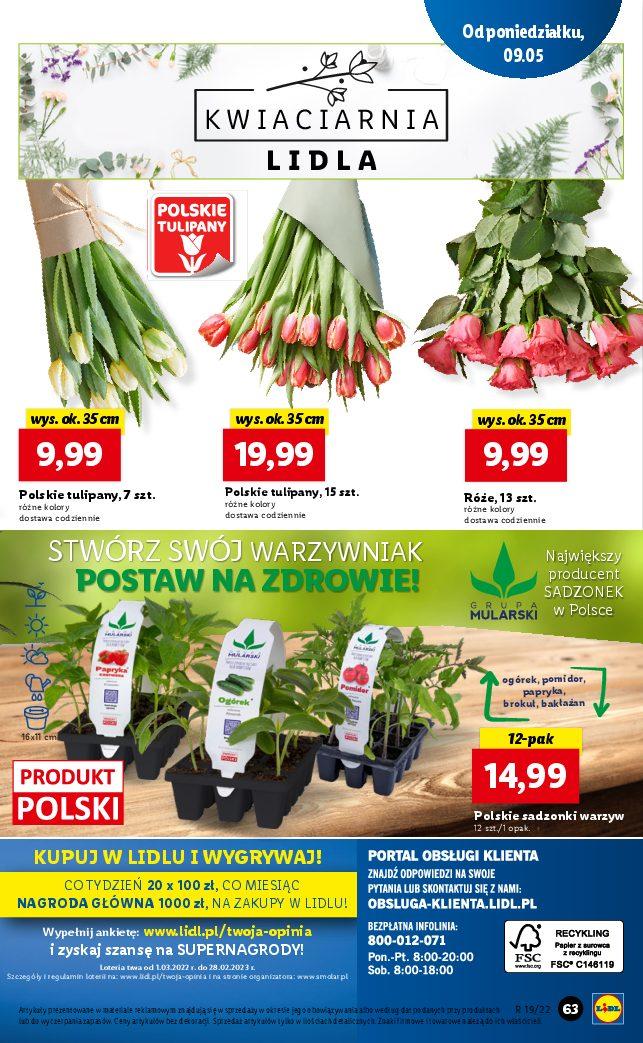 Gazetka promocyjna Lidl do 11/05/2022 str.63