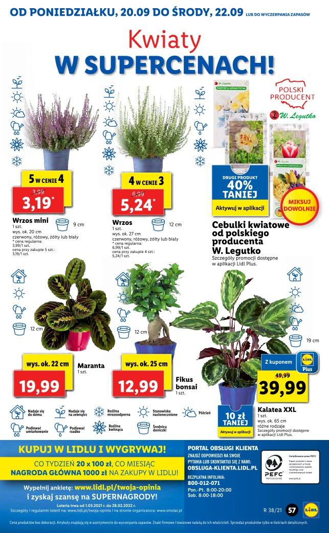 Gazetka promocyjna Lidl do 22/09/2021 str.55