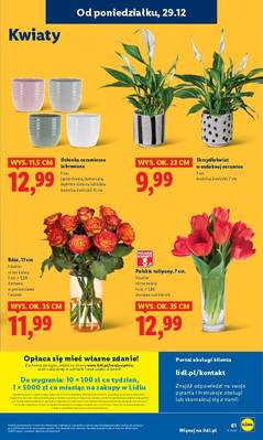 Lidl od poniedziałku