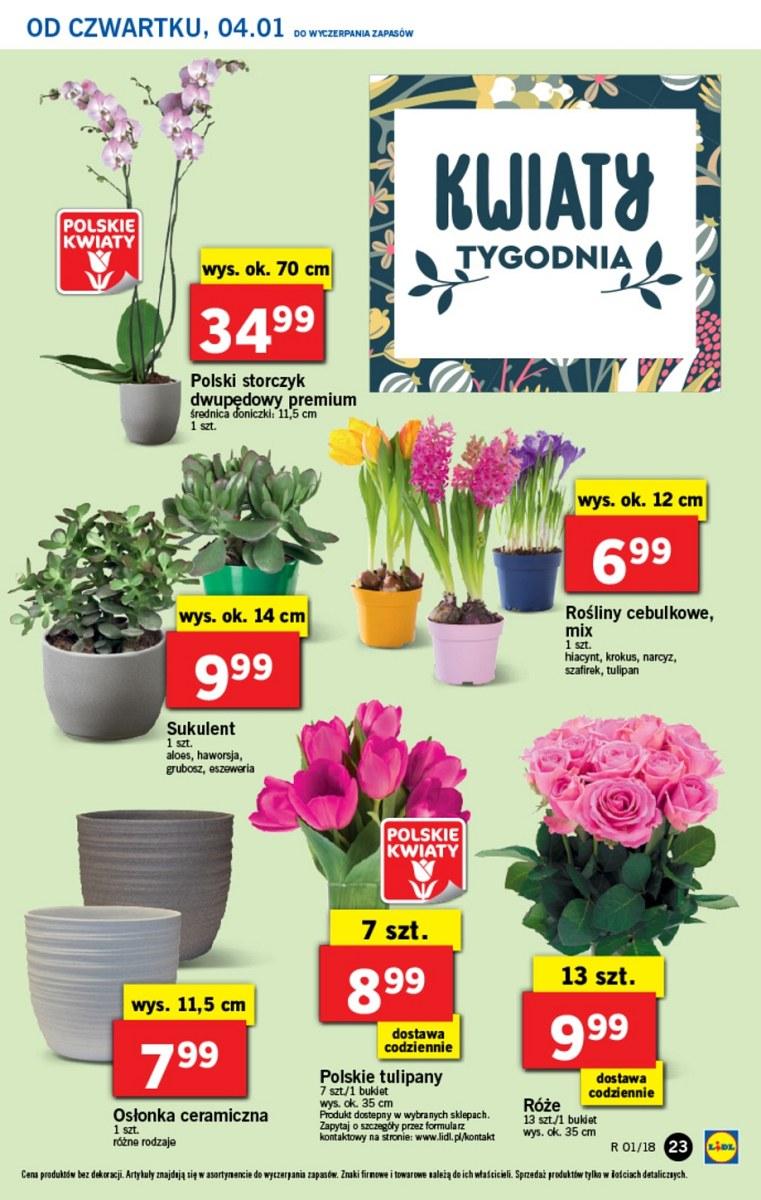 Gazetka promocyjna Lidl do 07/01/2018 str.23