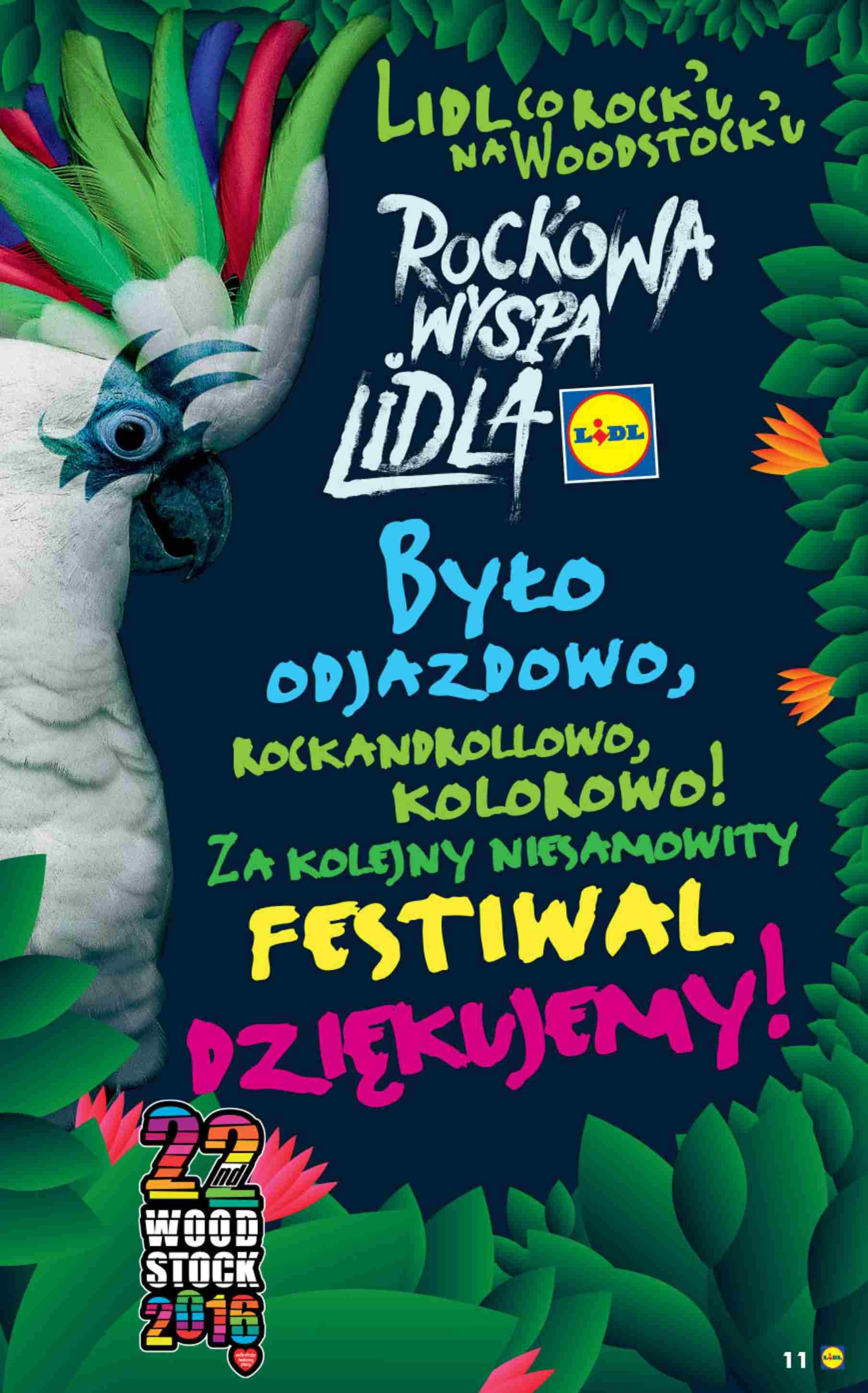 Gazetka promocyjna Lidl do 31/07/2016 str.11