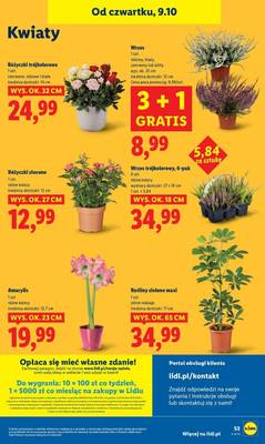 Lidl od czwartku