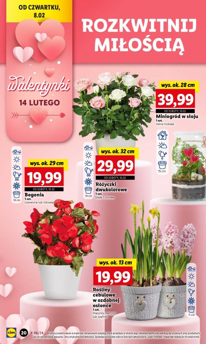 Gazetka promocyjna Lidl do 10/02/2024 str.24