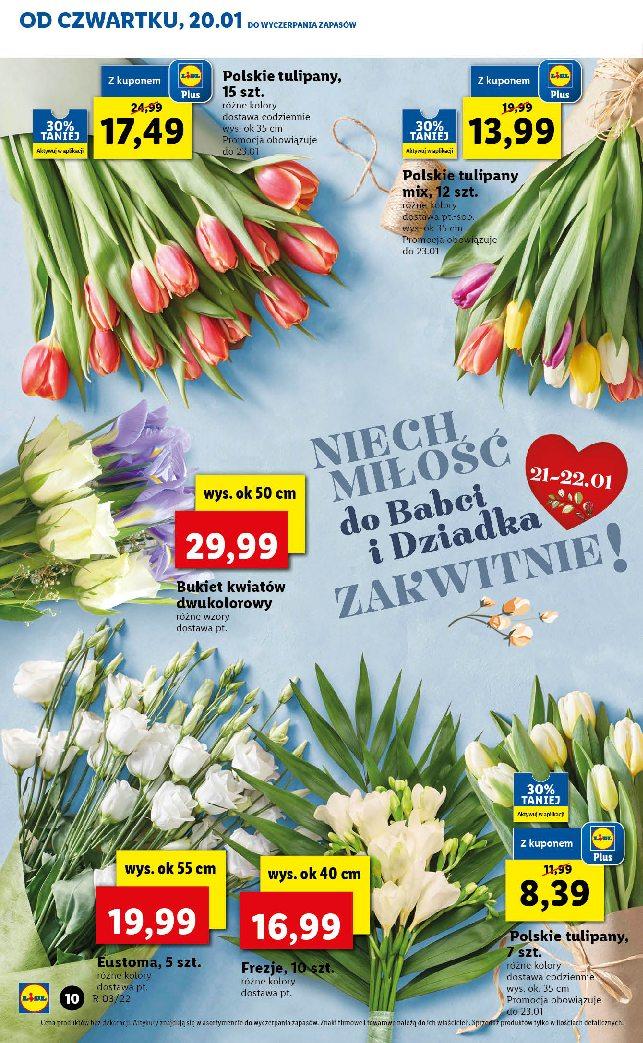 Gazetka promocyjna Lidl do 23/01/2022 str.10