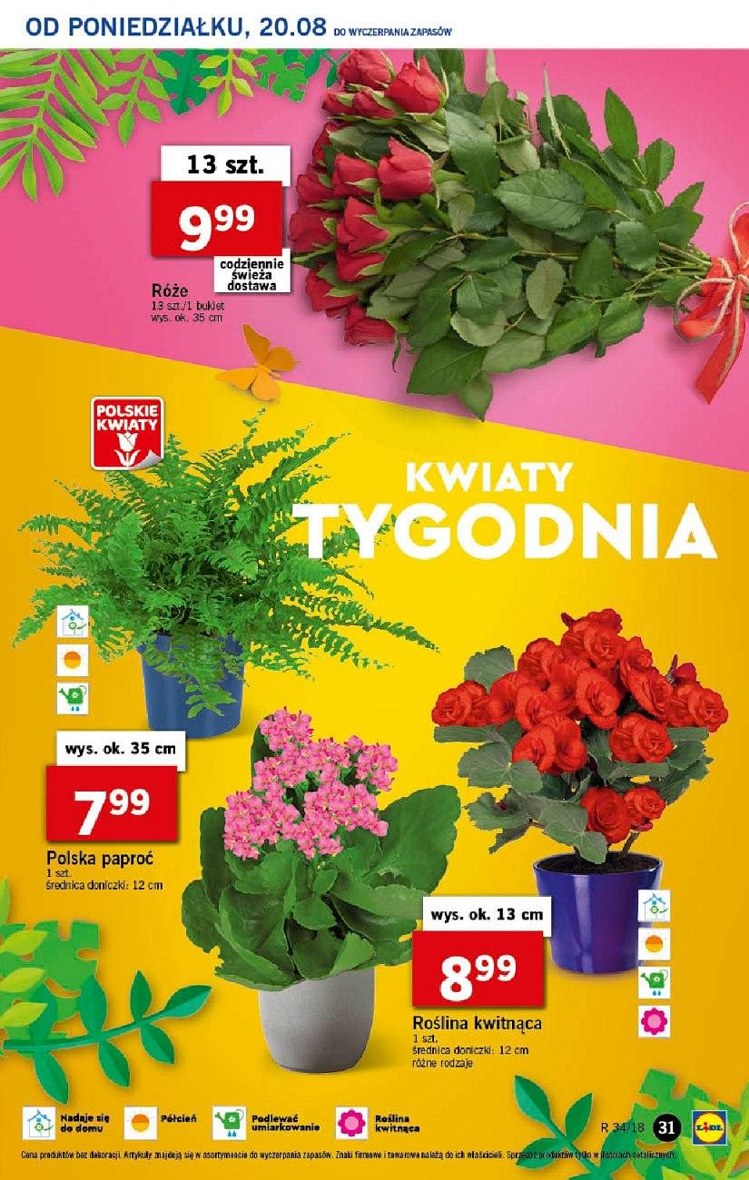 Gazetka promocyjna Lidl do 22/08/2018 str.31