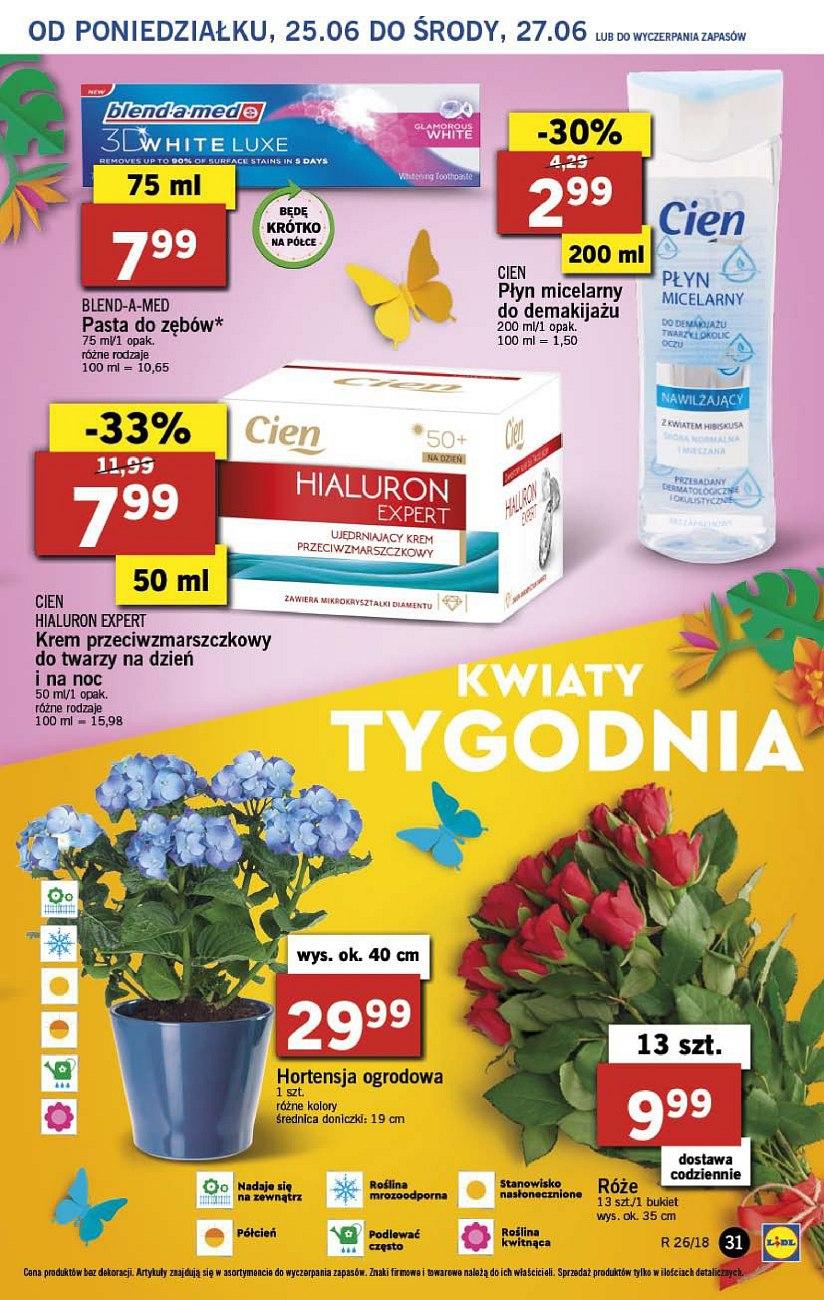 Gazetka promocyjna Lidl do 27/06/2018 str.31