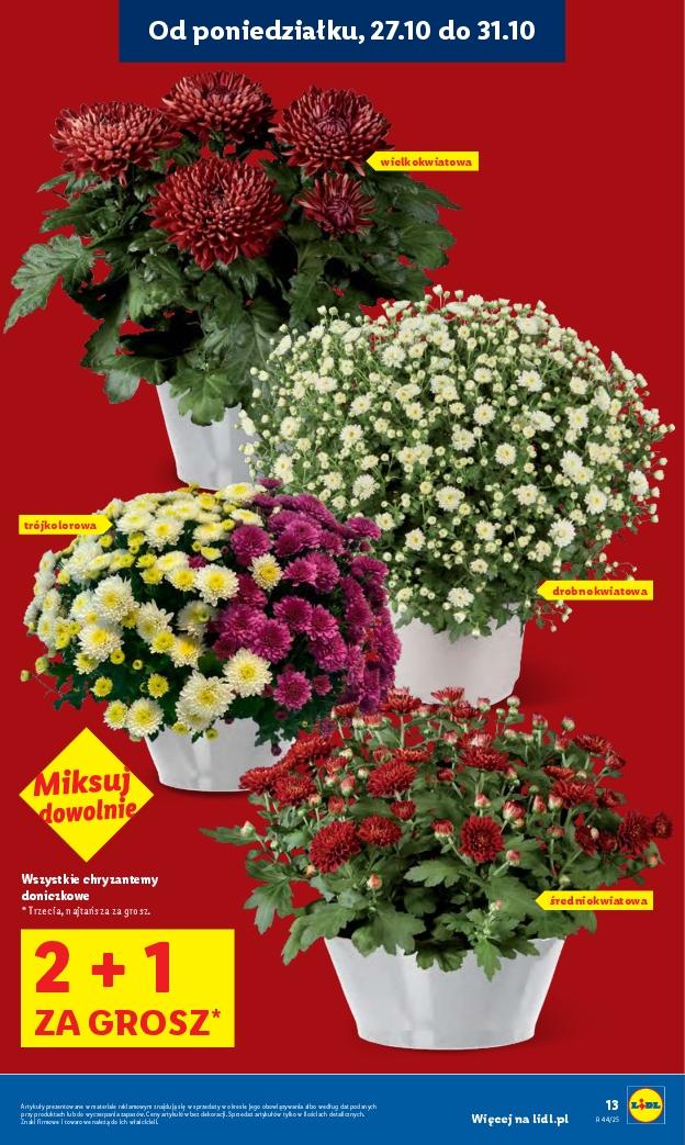 Gazetka promocyjna Lidl do 29/10/2025 str.13
