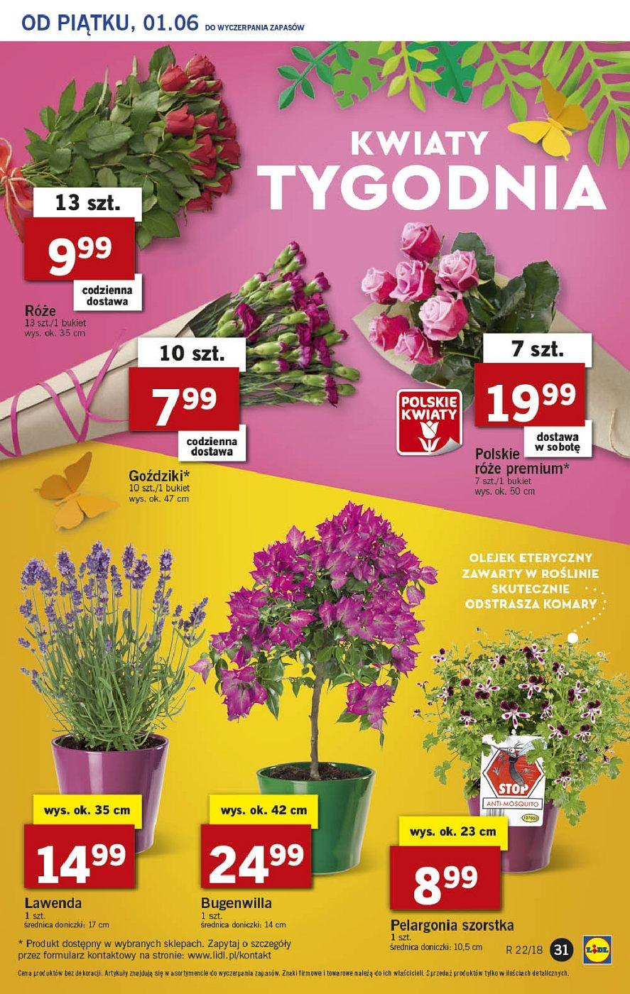 Gazetka promocyjna Lidl do 03/06/2018 str.31