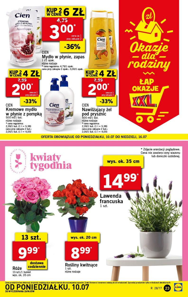 Gazetka promocyjna Lidl do 12/07/2017 str.23