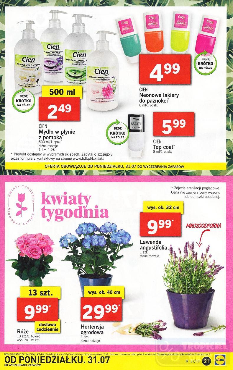 Gazetka promocyjna Lidl do 02/08/2017 str.21