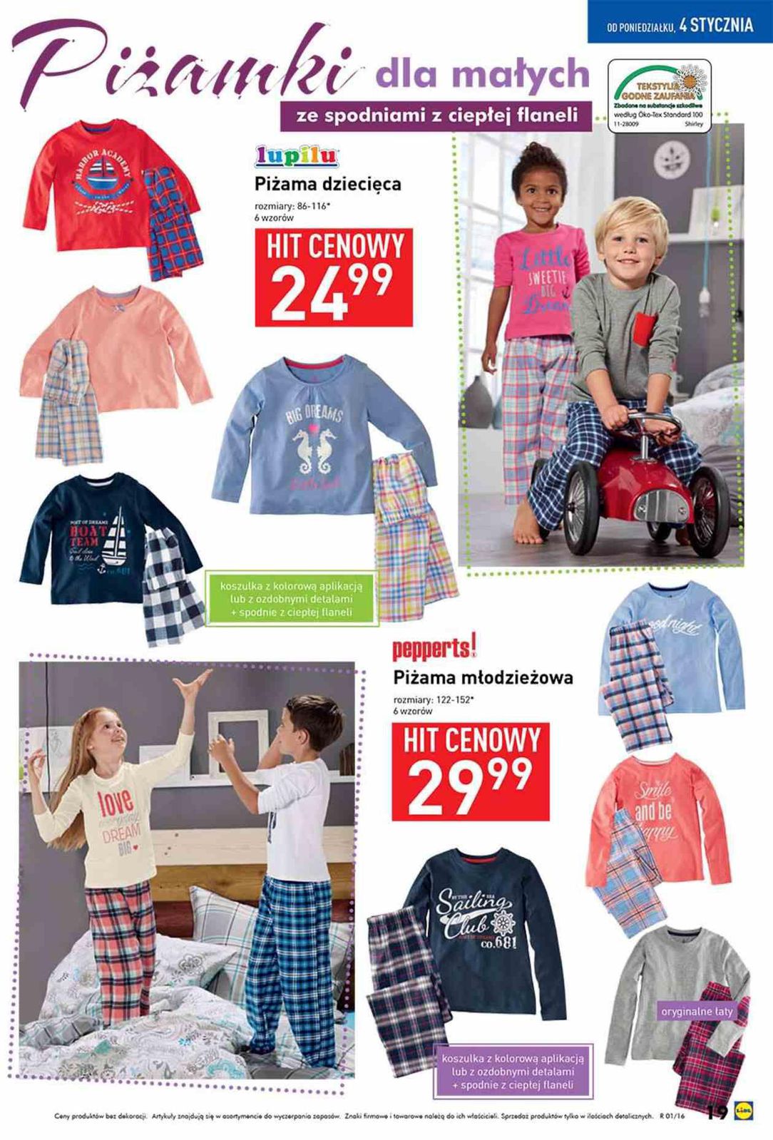 Gazetka promocyjna Lidl do 10/01/2016 str.19