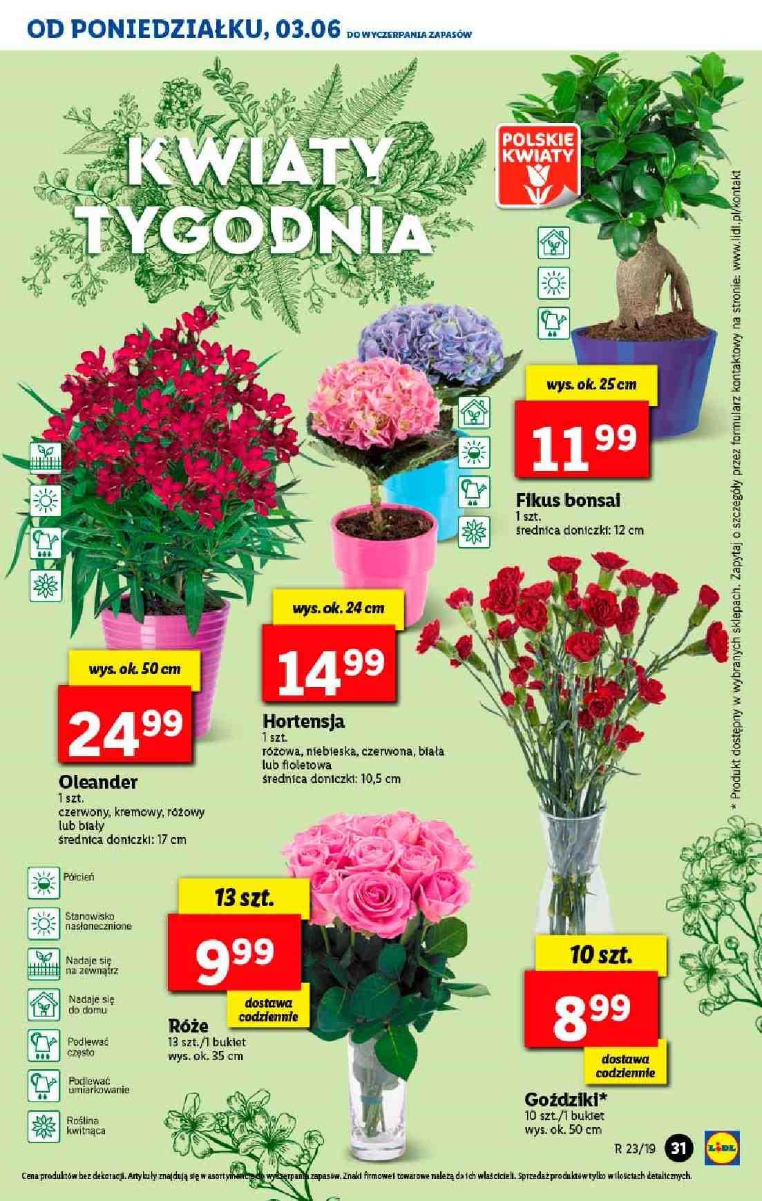 Gazetka promocyjna Lidl do 05/06/2019 str.31