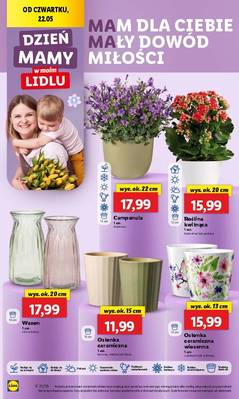 Lidl od czwartku