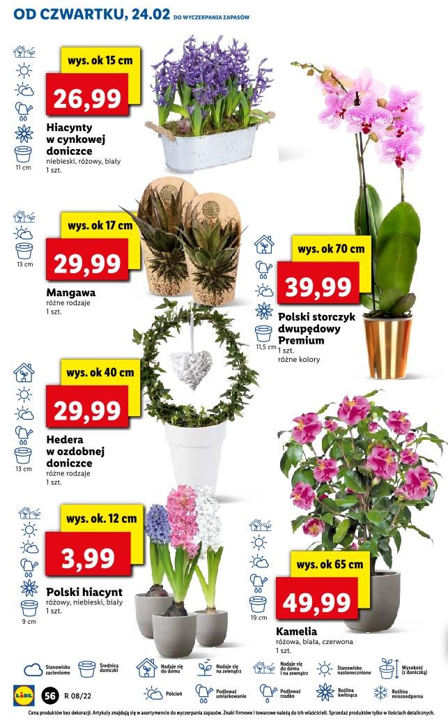 Gazetka promocyjna Lidl do 26/02/2022 str.56