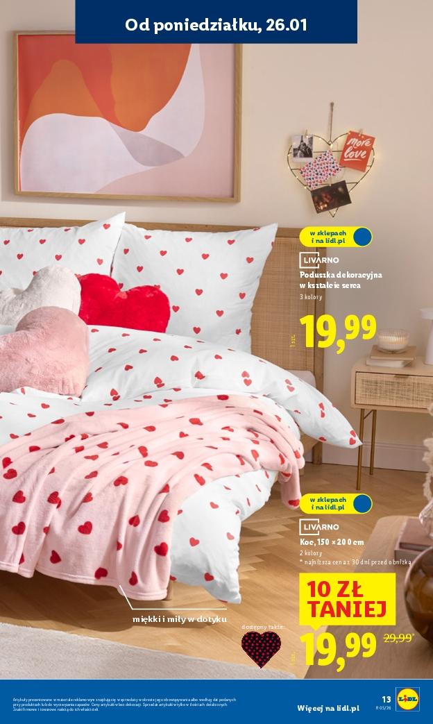 Gazetka promocyjna Lidl do 31/01/2026 str.13