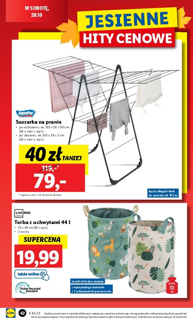 Gazetka promocyjna Lidl do 28/10/2023 str.42