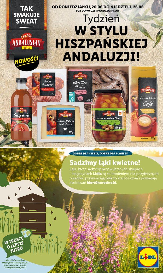 Gazetka promocyjna Lidl do 22/06/2022 str.56