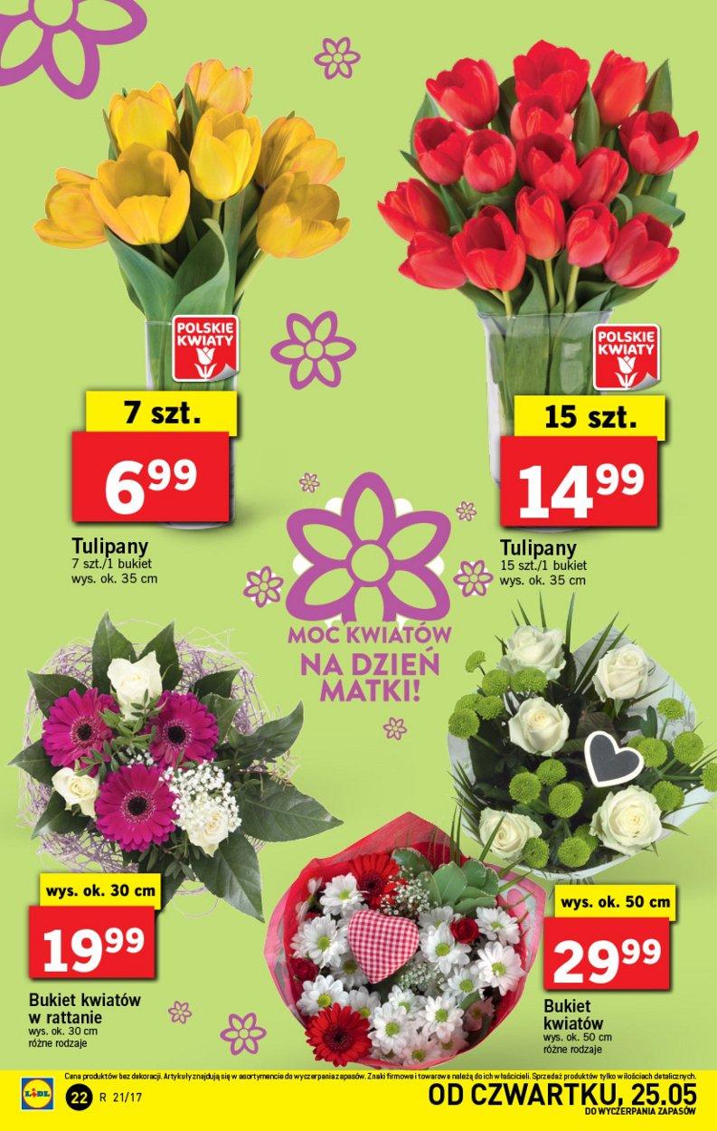 Gazetka promocyjna Lidl do 28/05/2017 str.22