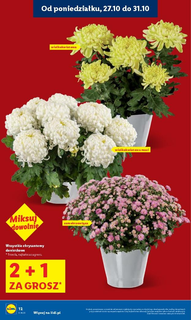 Gazetka promocyjna Lidl do 29/10/2025 str.12