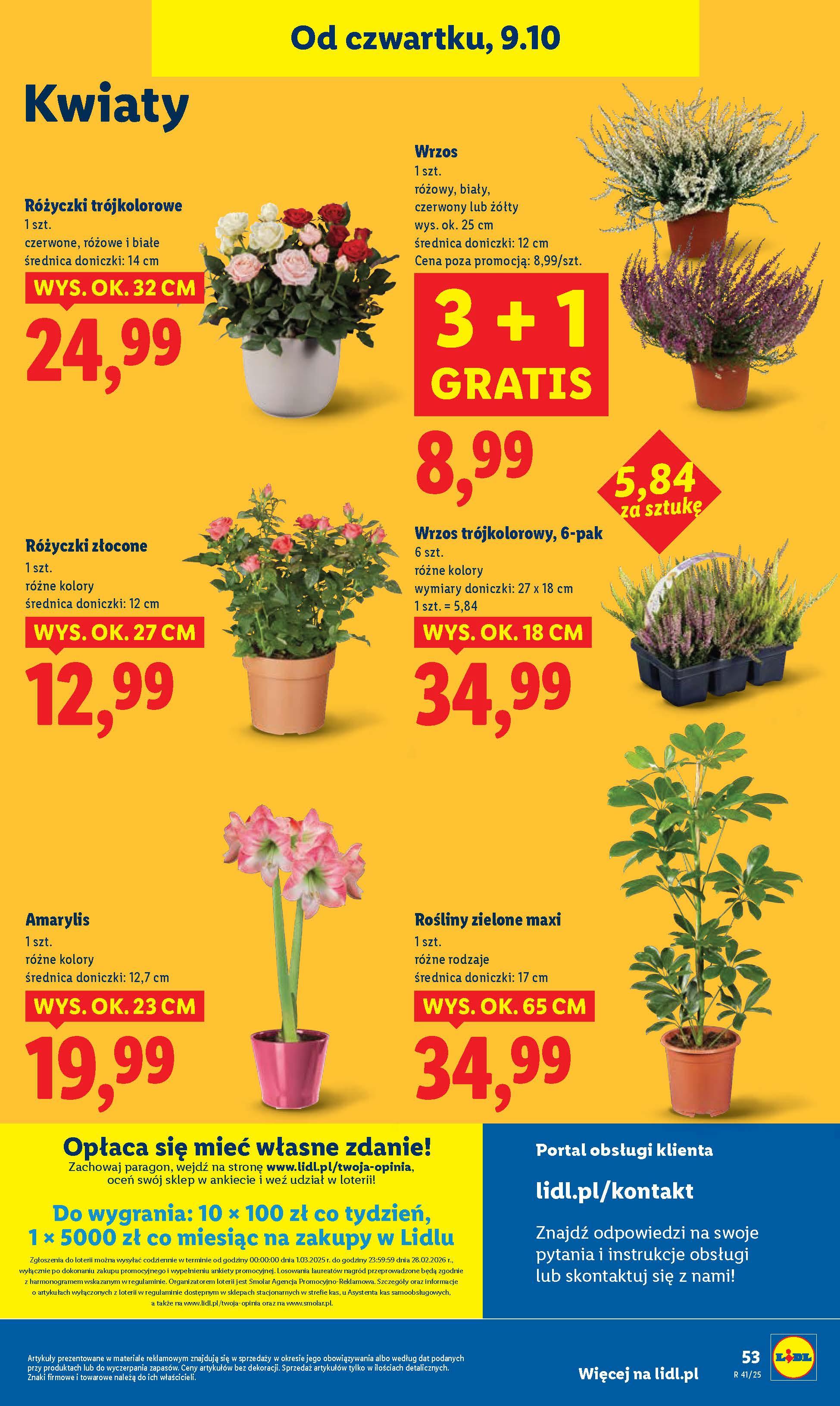 Gazetka promocyjna Lidl do 11/10/2025 str.59