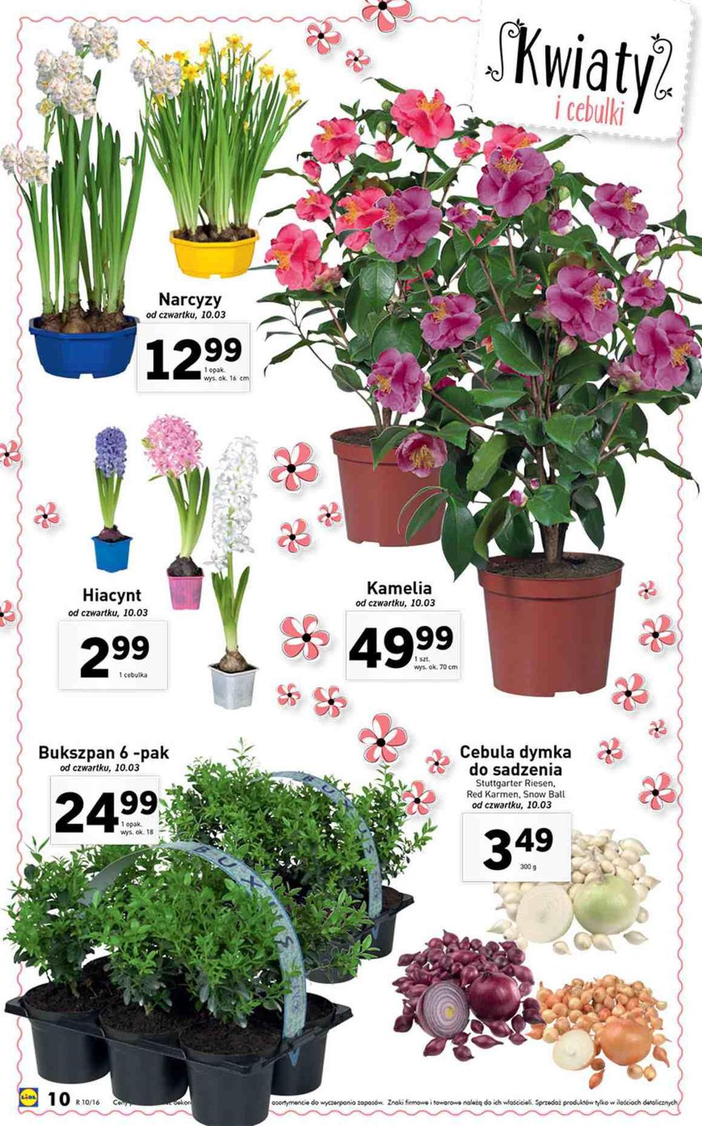 Gazetka promocyjna Lidl do 13/03/2016 str.10