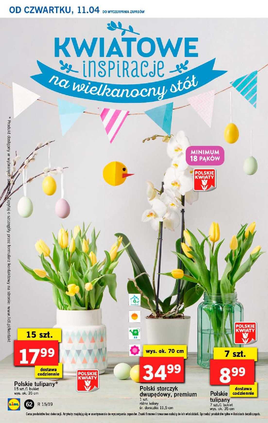 Gazetka promocyjna Lidl do 14/04/2019 str.62