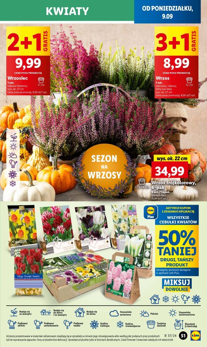 Gazetka promocyjna Lidl do 11/09/2024 str.55