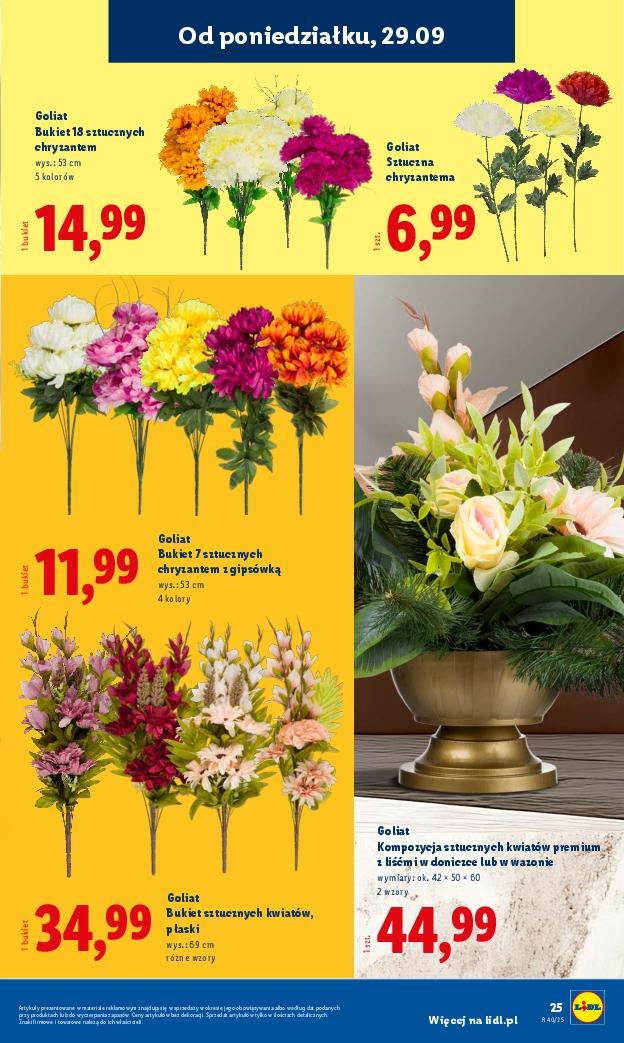 Gazetka promocyjna Lidl do 04/10/2025 str.29