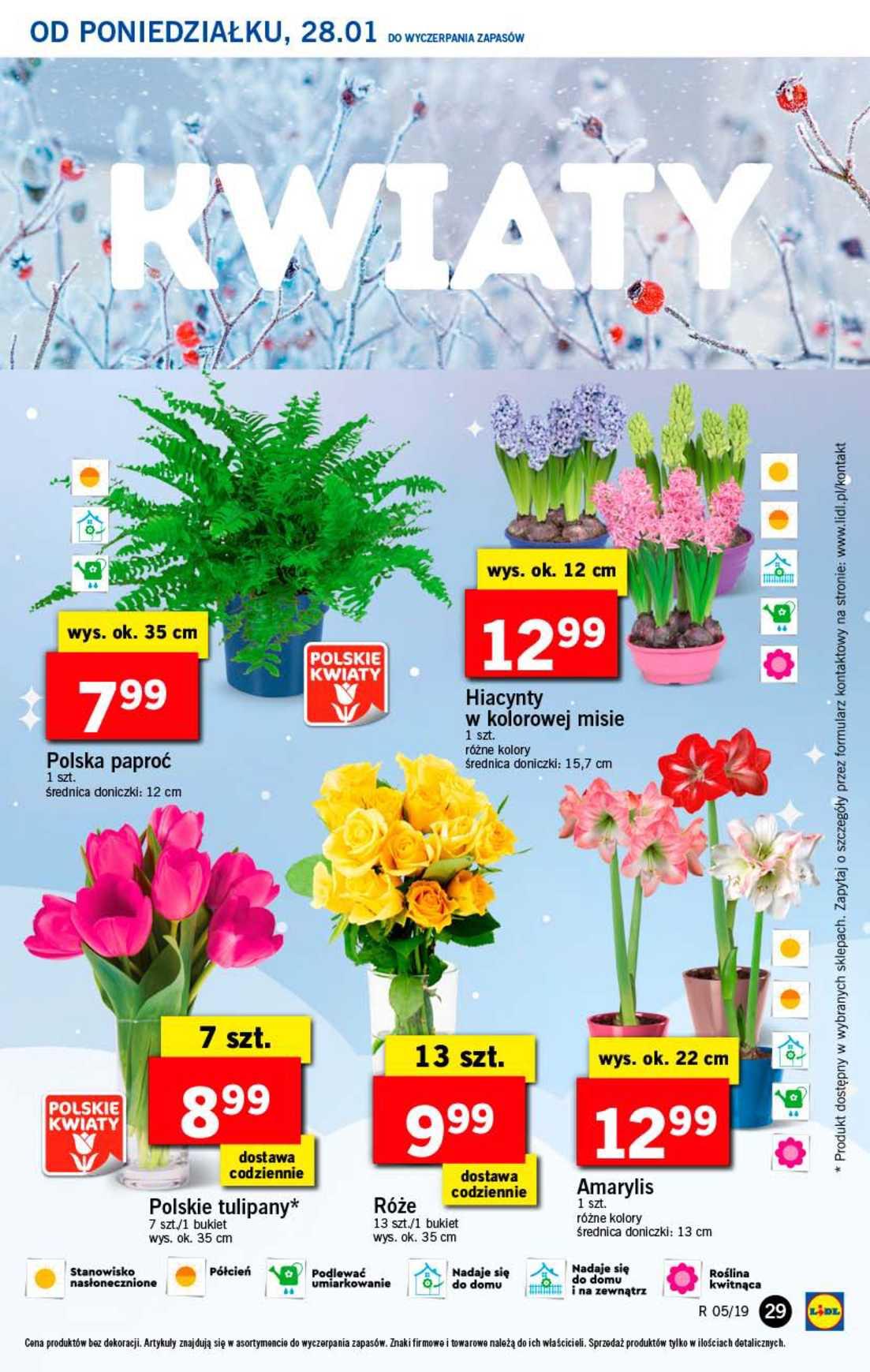 Gazetka promocyjna Lidl do 30/01/2019 str.29