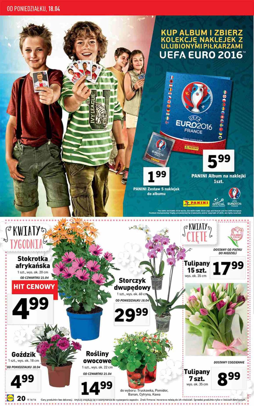 Gazetka promocyjna Lidl do 24/04/2016 str.20